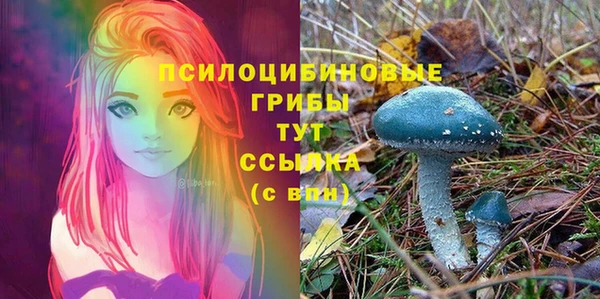 шишки Нязепетровск