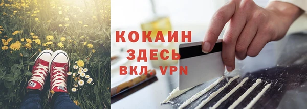 эйфоретик Новозыбков
