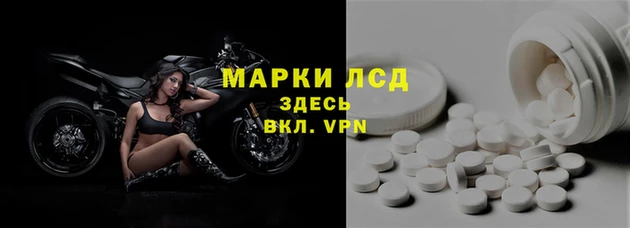 эйфоретик Новозыбков