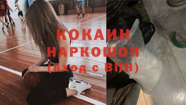 шишки Нязепетровск