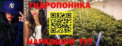 ПСИЛОЦИБИНОВЫЕ ГРИБЫ Балахна