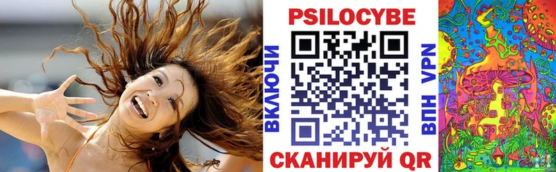 Псилоцибиновые грибы Psilocybe  Истра 