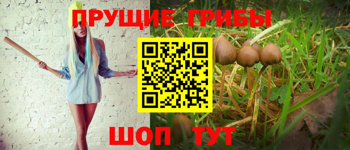 Галлюциногенные грибы Cubensis  Истра 