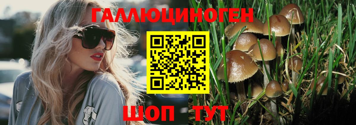 Истра  Галлюциногенные грибы Psilocybe  Вход с VPN 