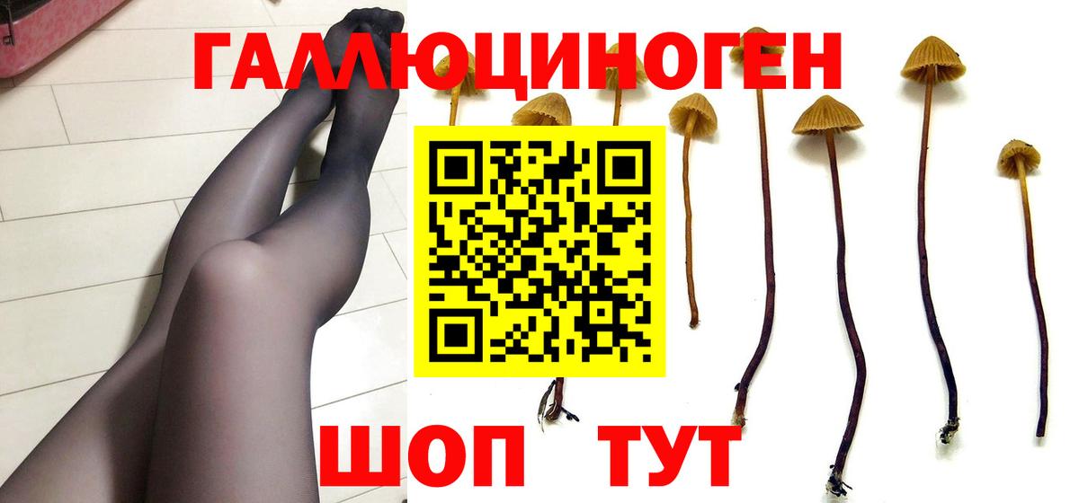 Псилоцибиновые грибы ЛСД Истра